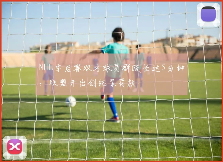 NHL季后赛双方球员群殴长达5分钟，联盟开出创纪录罚款